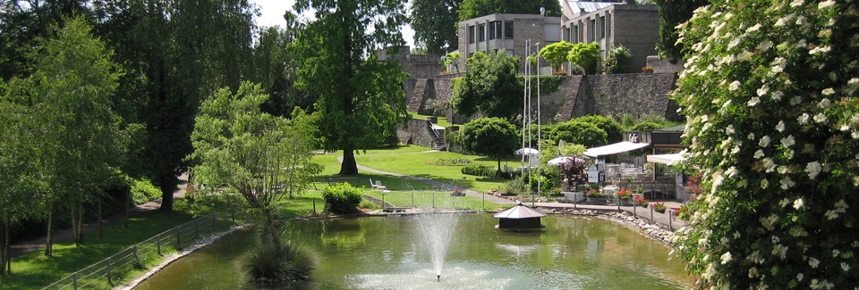 Bad-Wimpfen-Sehenswürdigkeit-Stadtgraben-mit-Birkensee-TV07